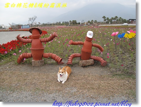 IMG_2082.JPG IMG_2082.JPG