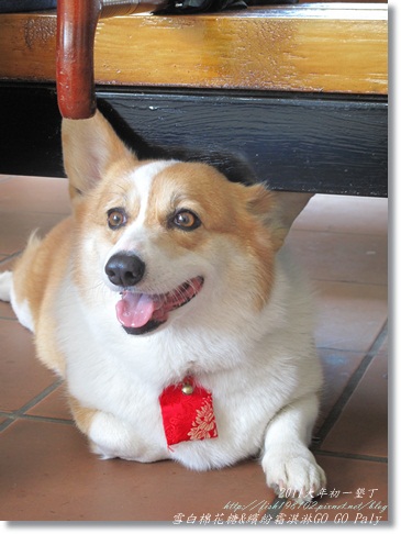 IMG_2152.JPG IMG_2152.JPG