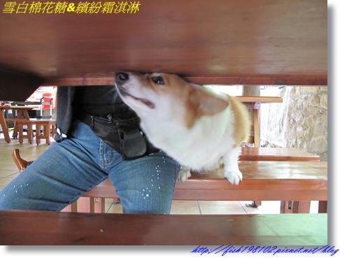 IMG_2750.JPG IMG_2750.JPG