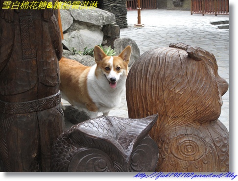 IMG_2811.JPG IMG_2811.JPG