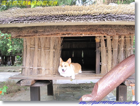 IMG_2844.JPG IMG_2844.JPG