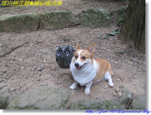 IMG_2861.JPG IMG_2861.JPG