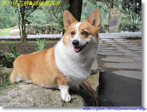 IMG_2867.JPG IMG_2867.JPG