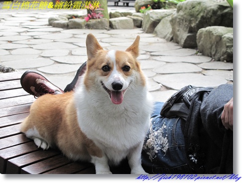 IMG_2871.JPG IMG_2871.JPG