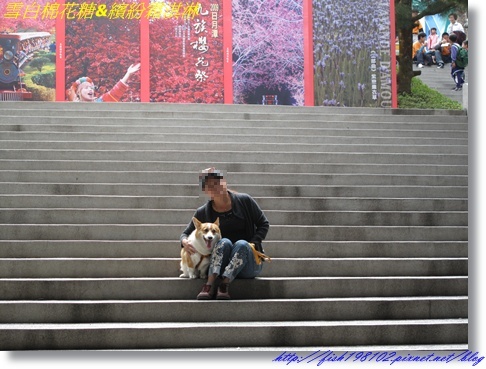 IMG_2719.JPG IMG_2719.JPG