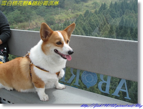 IMG_2734.JPG IMG_2734.JPG