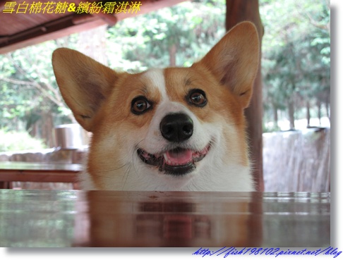 IMG_2746.JPG IMG_2746.JPG