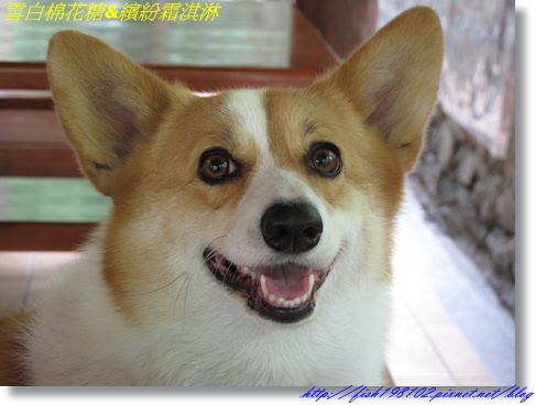 IMG_2748.JPG IMG_2748.JPG