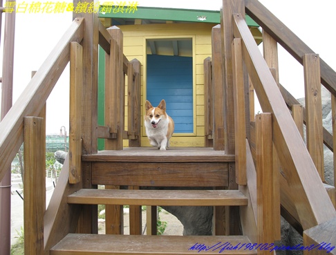 IMG_3220.JPG IMG_3220.JPG