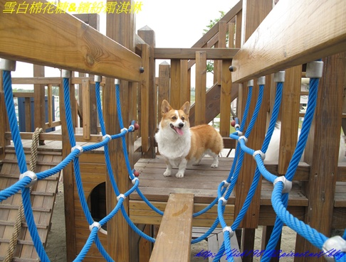 IMG_3222.JPG IMG_3222.JPG