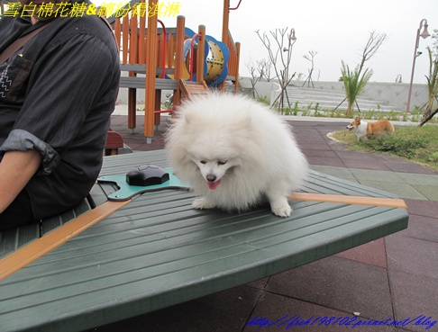 IMG_3231.JPG IMG_3231.JPG