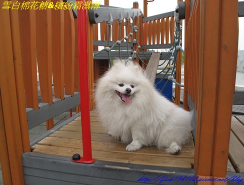 IMG_3234.JPG IMG_3234.JPG