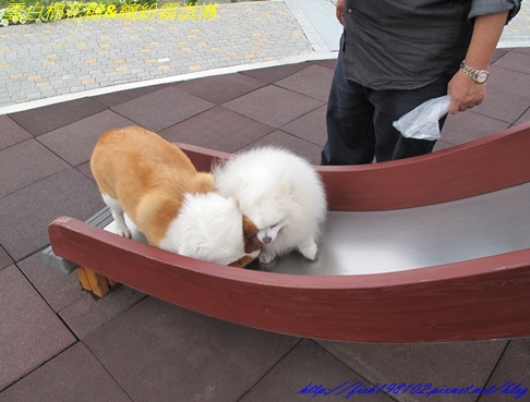 IMG_3237.JPG IMG_3237.JPG