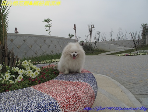 IMG_3240.JPG IMG_3240.JPG