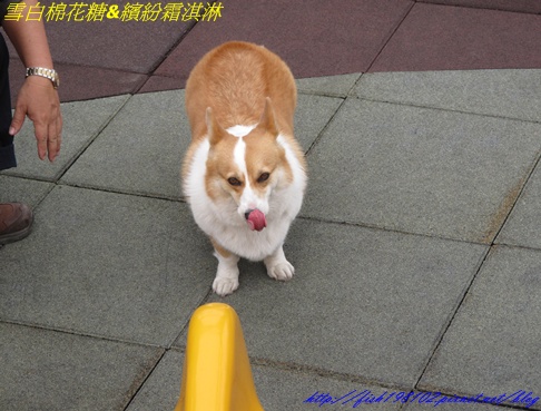 IMG_3241.JPG IMG_3241.JPG