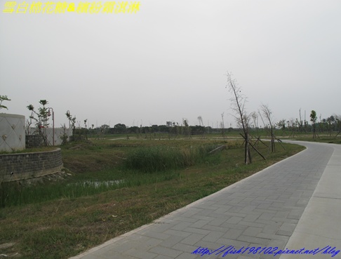 IMG_3256.JPG IMG_3256.JPG