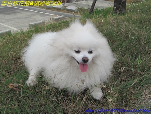 IMG_3266.JPG IMG_3266.JPG