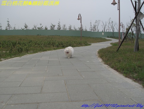 IMG_3286.JPG IMG_3286.JPG