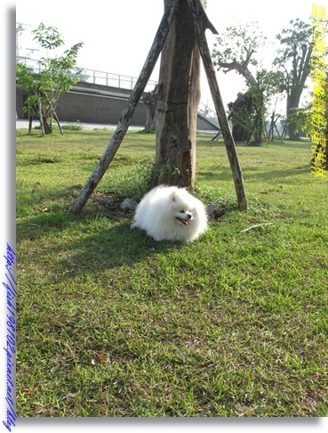 IMG_3534.JPG IMG_3534.JPG