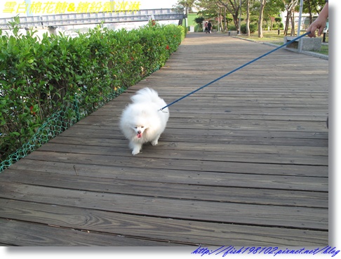 IMG_3539.JPG IMG_3539.JPG