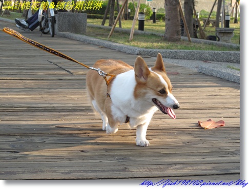 IMG_3540.JPG IMG_3540.JPG