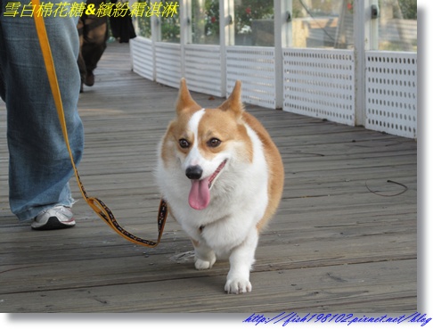 IMG_3541.JPG IMG_3541.JPG