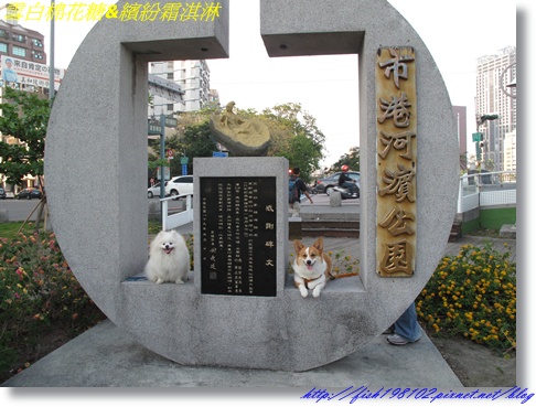 IMG_3548.JPG IMG_3548.JPG