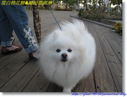 IMG_3551.JPG IMG_3551.JPG