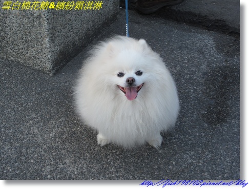 IMG_3553.JPG IMG_3553.JPG