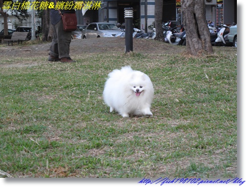 IMG_3557.JPG IMG_3557.JPG