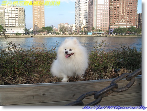 IMG_3560.JPG IMG_3560.JPG