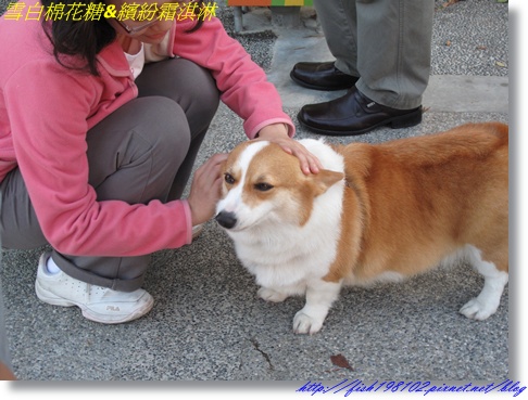 IMG_3563.JPG IMG_3563.JPG