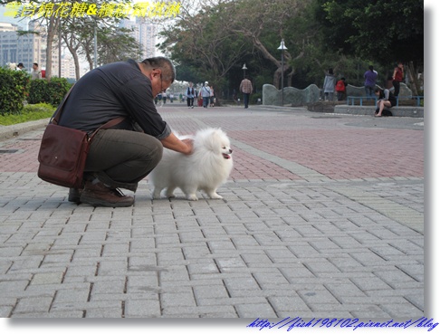 IMG_3578.JPG IMG_3578.JPG