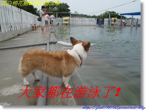 IMG_1489.JPG IMG_1489.JPG