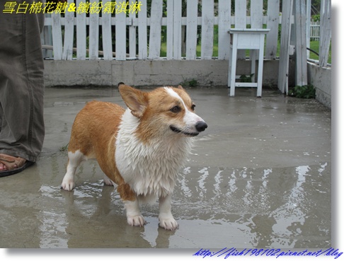 IMG_1490.JPG IMG_1490.JPG