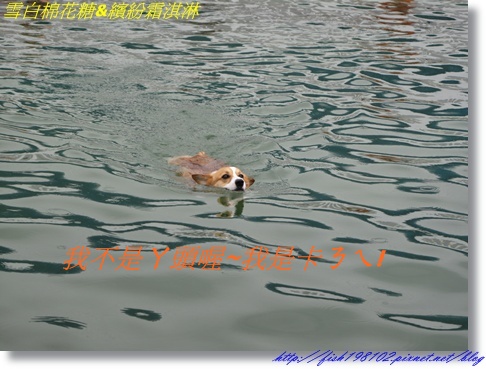 IMG_1492.JPG IMG_1492.JPG