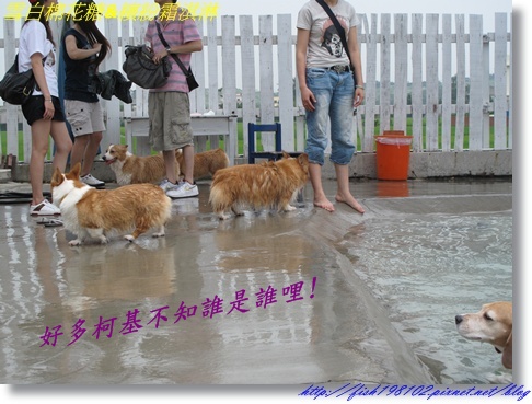 IMG_1498.JPG IMG_1498.JPG