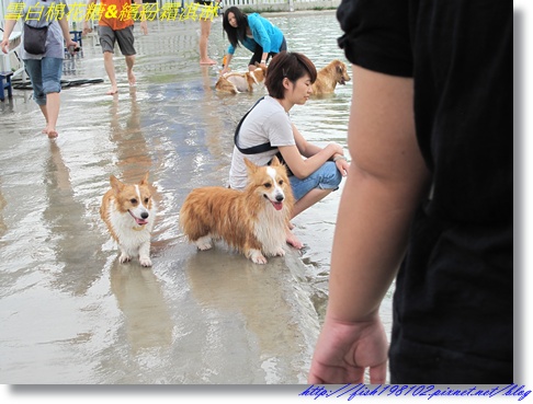 IMG_1501.JPG IMG_1501.JPG