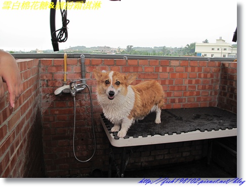 IMG_1505.JPG IMG_1505.JPG