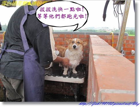 IMG_1509.JPG IMG_1509.JPG