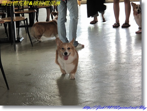 IMG_1519.JPG IMG_1519.JPG