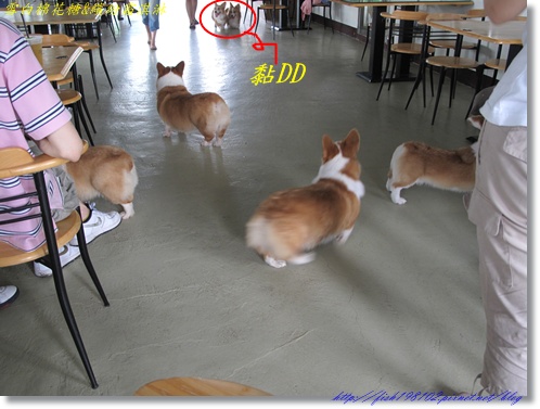 IMG_1522.JPG IMG_1522.JPG