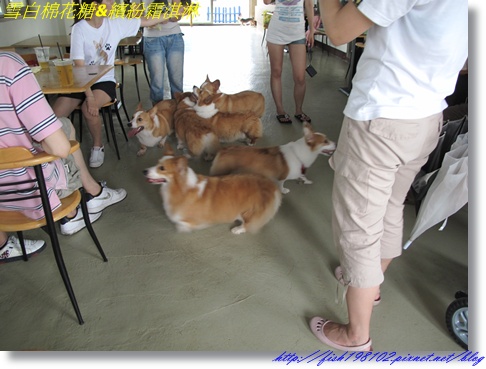 IMG_1524.JPG IMG_1524.JPG