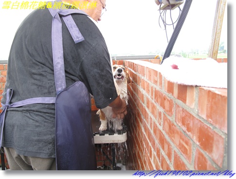 IMG_1525.JPG IMG_1525.JPG