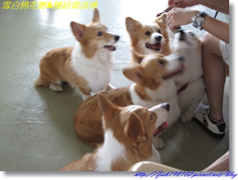 IMG_1540.JPG IMG_1540.JPG