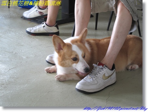 IMG_1563.JPG IMG_1563.JPG