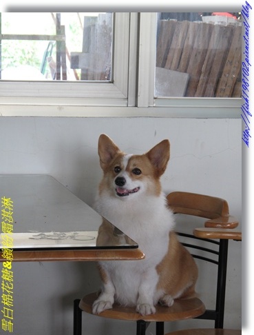 IMG_1567.JPG IMG_1567.JPG