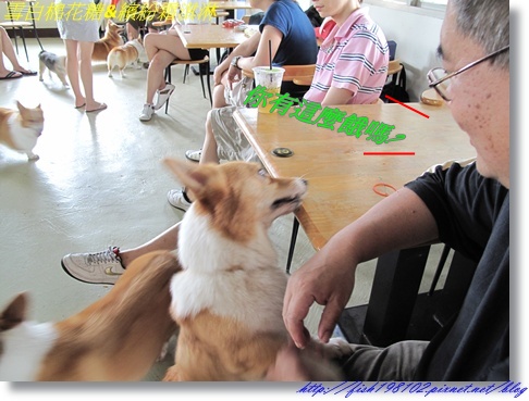 IMG_1555.JPG IMG_1555.JPG