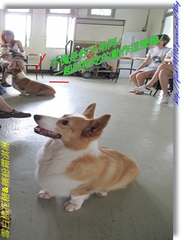 IMG_1562.JPG IMG_1562.JPG