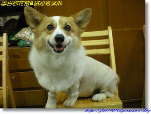 DSCN9902.JPG DSCN9902.JPG